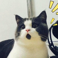 欢欢直播头像.jpg