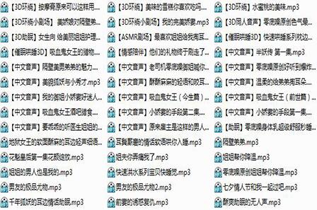 李莎中文音声.jpg
