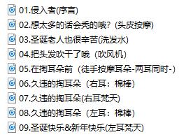 主题部分9首音频的信息图.jpg