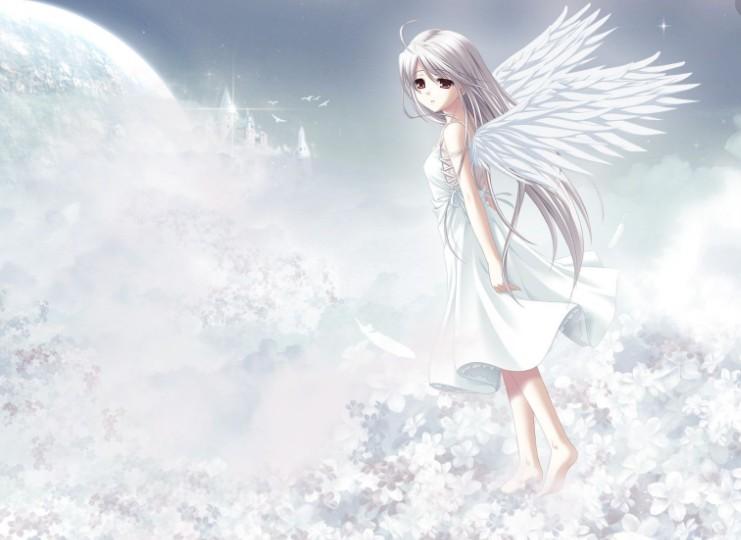 fca728bd15580d261bd6c4d2a20c0d02.png